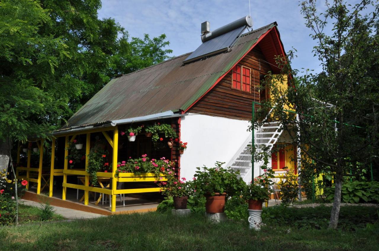 Pensiunea Rustic Eforie Sud  Exteriör bild